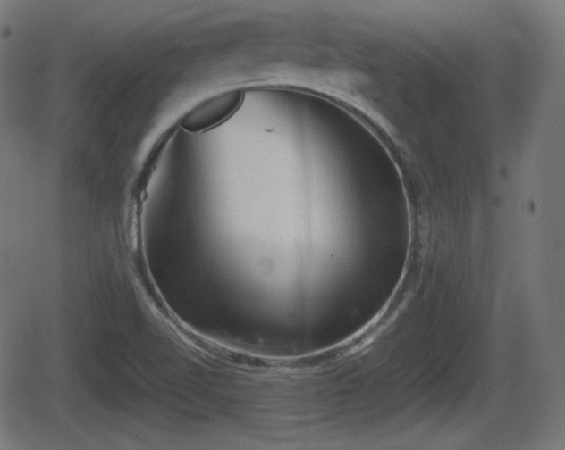 X0000062131510200512161138