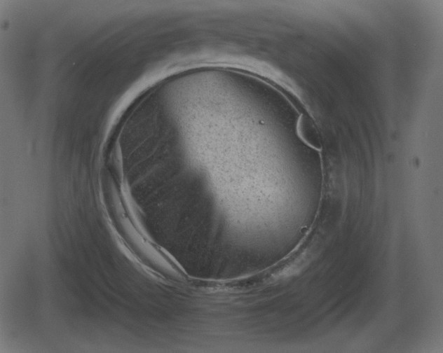 X0000062131511200512161138