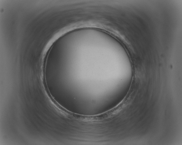 X0000062131512200512161138