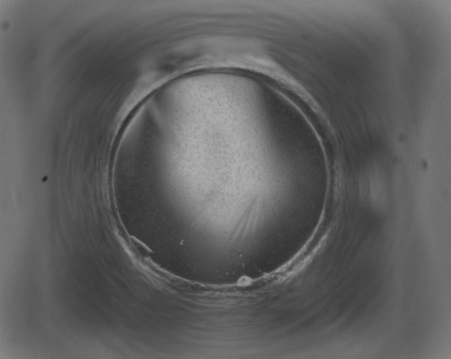 X0000062131513200512161138