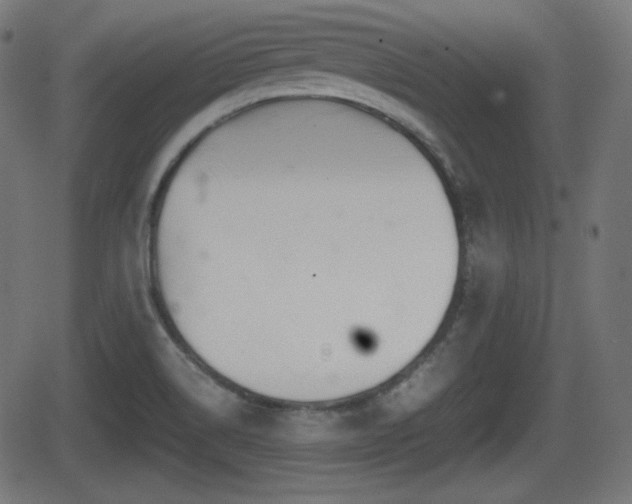 X0000062131514200512161138