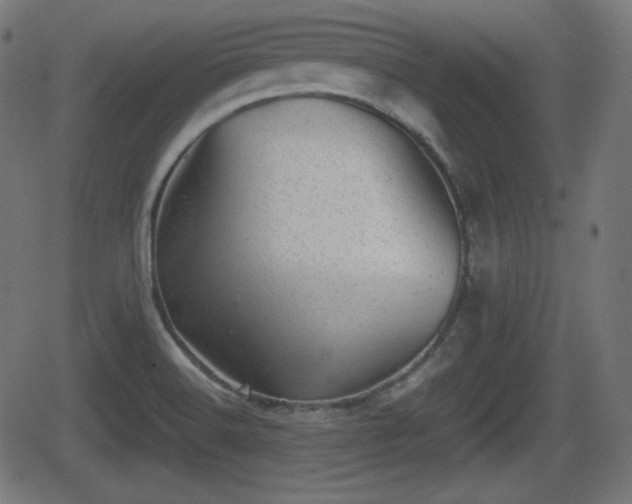 X0000062131516200512161139