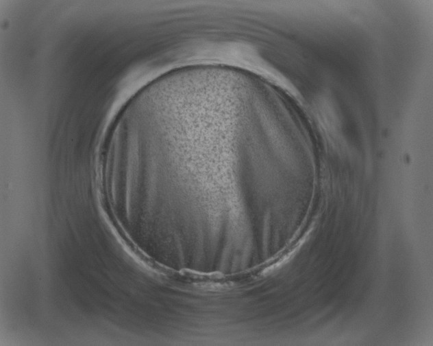 X0000062131517200512161139