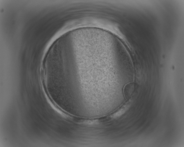 X0000062131519200512161139