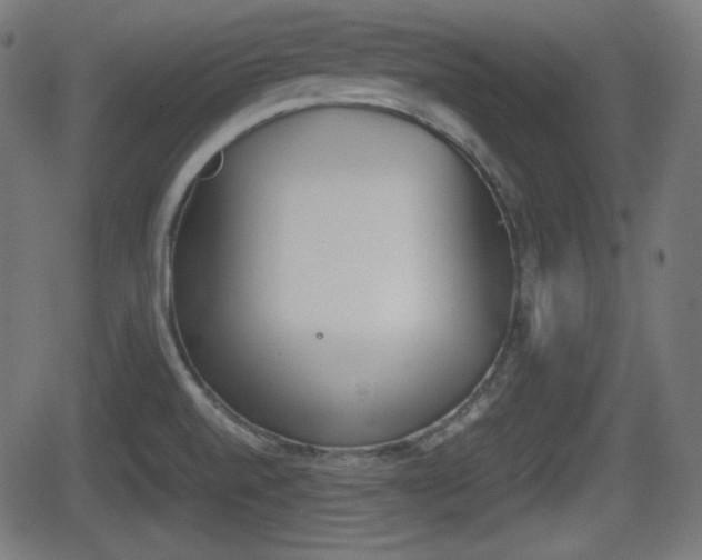 X0000062131520200512161139