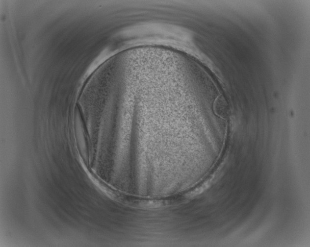 X0000062131521200512161139