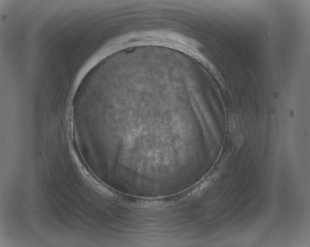 X0000062131522200512161139