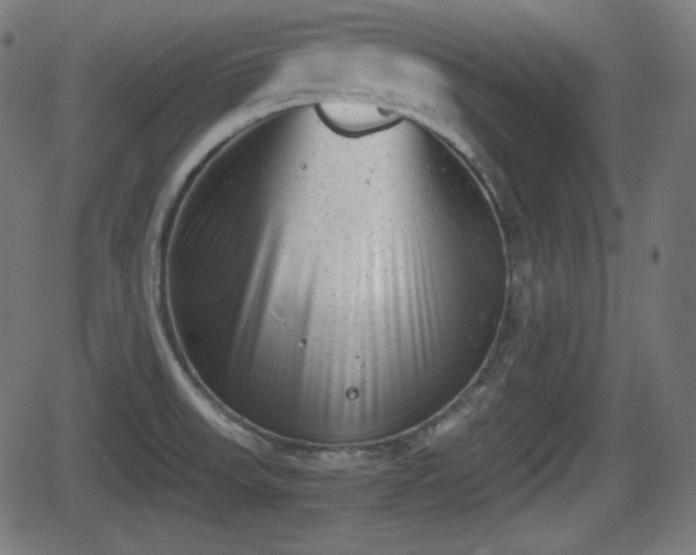 X0000062131523200512161139