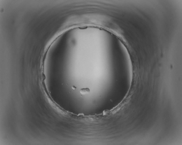 X0000062131524200512161139