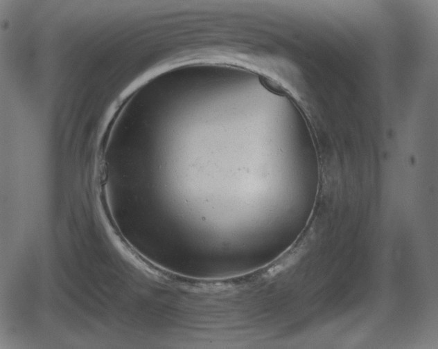 X0000062131526200512161139