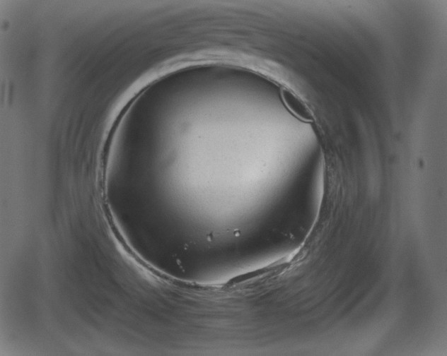 X0000062131527200512161139