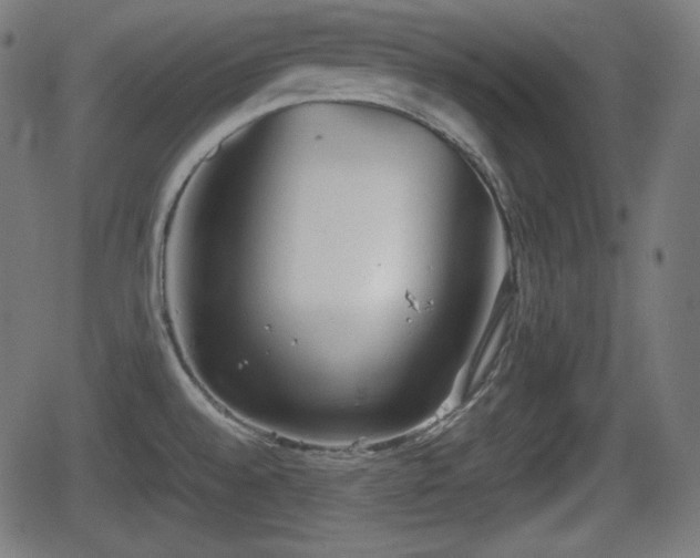 X0000062131528200512161139