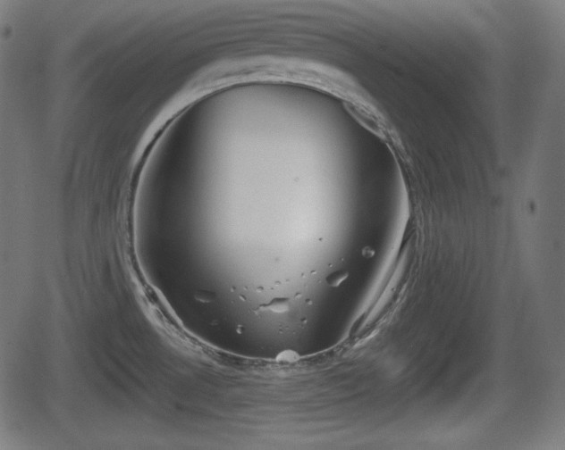 X0000062131530200512161139