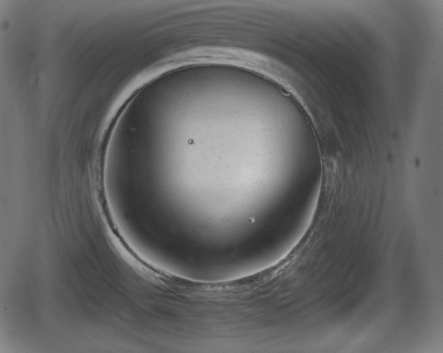 X0000062131531200512161139