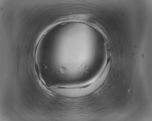 X0000062131532200512161139