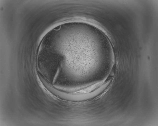 X0000062131534200512161139