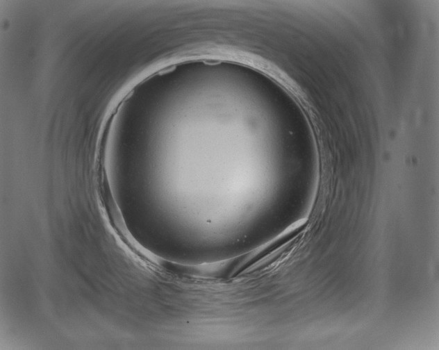 X0000062131536200512161139