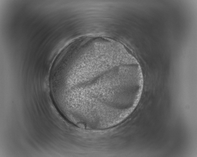 X0000062130002200512231450