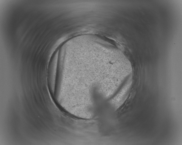 X0000062130003200512231450