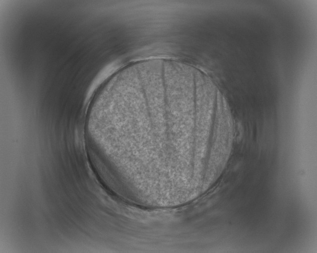 X0000062130004200512231450