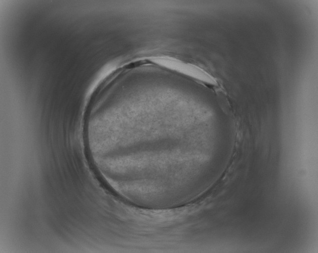 X0000062130006200512231450