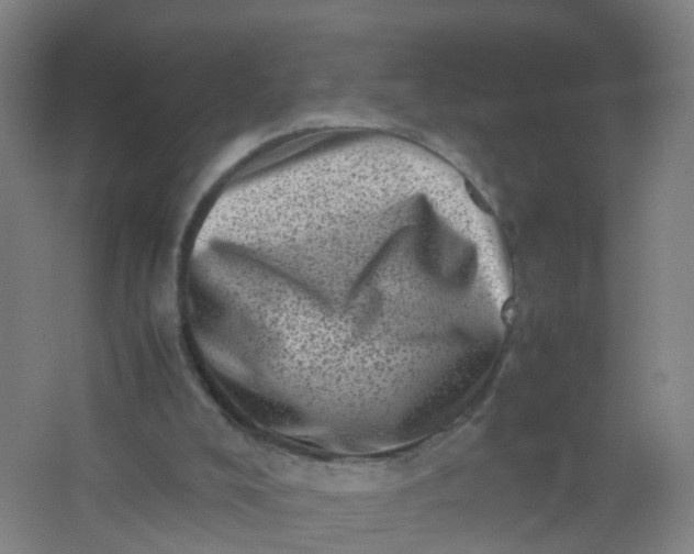 X0000062130008200512231450