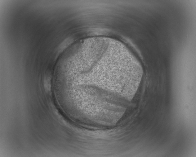 X0000062130010200512231450