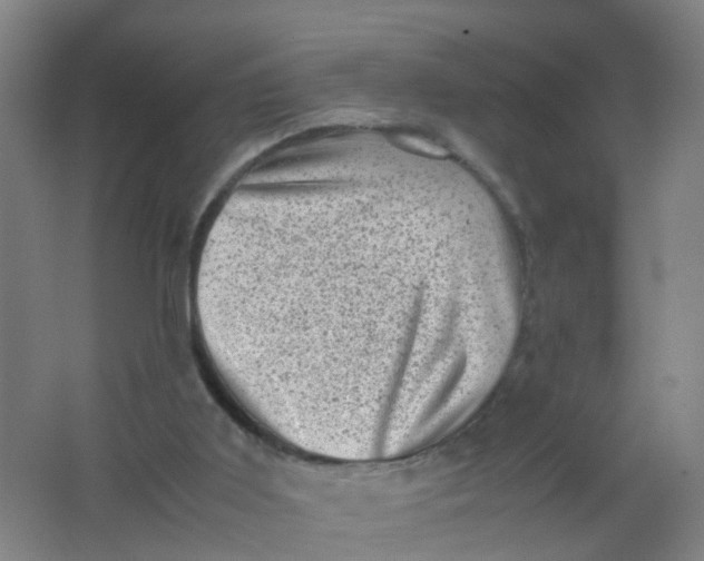 X0000062130011200512231450