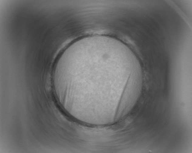 X0000062130012200512231450