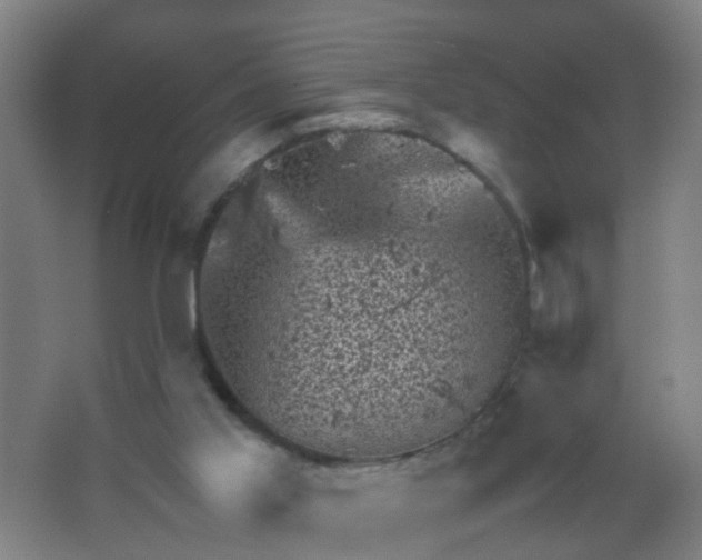 X0000062130013200512231450