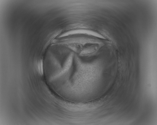 X0000062130014200512231450