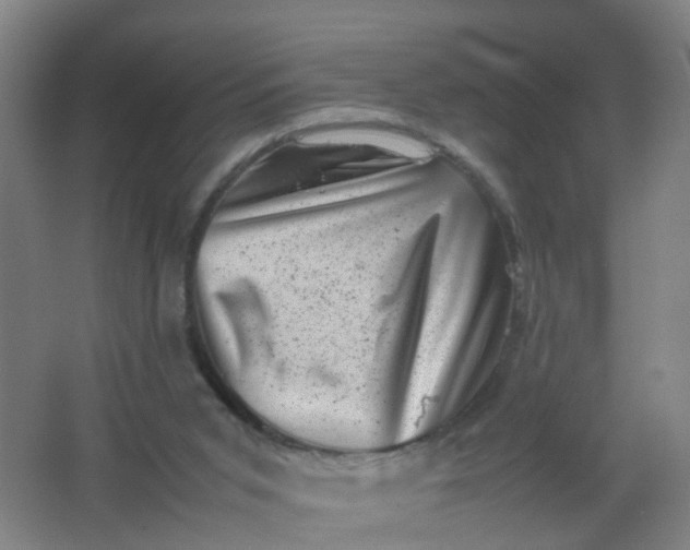 X0000062130015200512231450