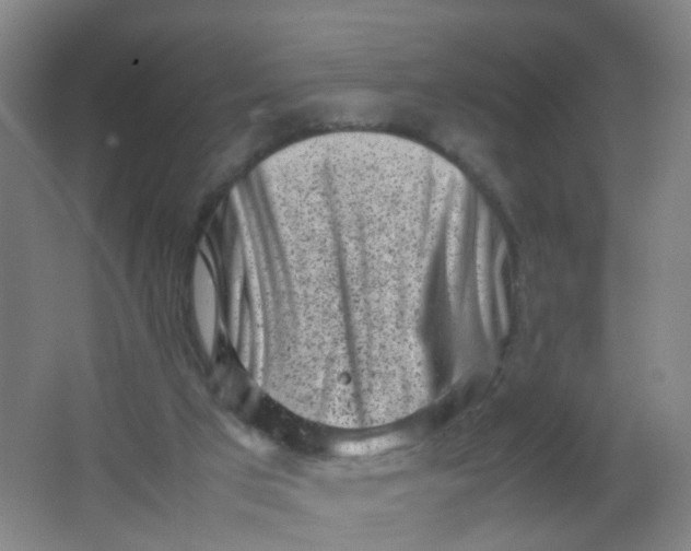 X0000062130017200512231450