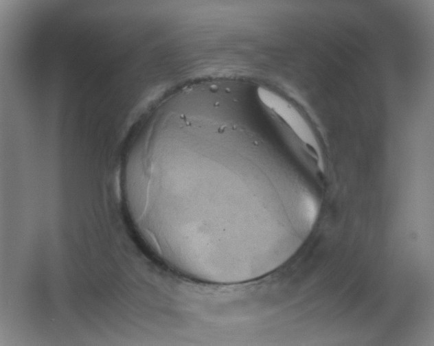 X0000062130019200512231450