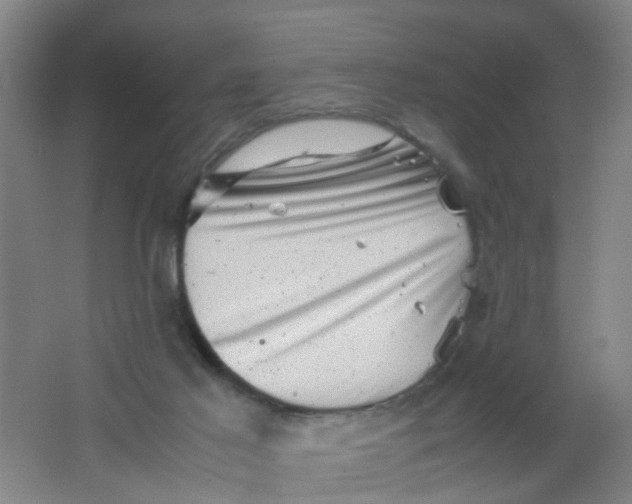 X0000062130021200512231450