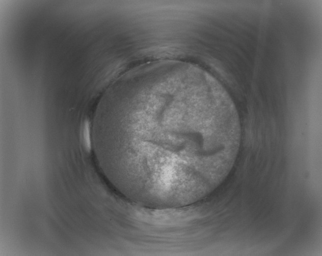 X0000062130022200512231450