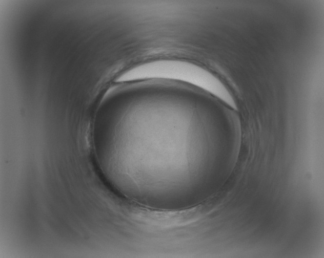 X0000062130023200512231450