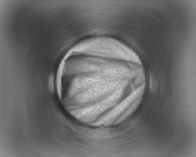 X0000062130024200512231450