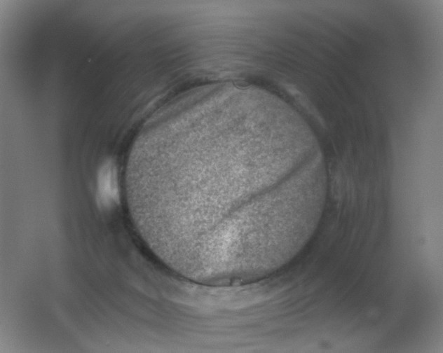 X0000062130026200512231450