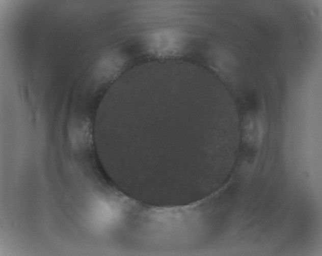 X0000062130029200512231450