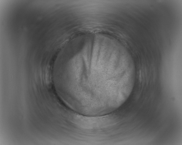 X0000062130030200512231450