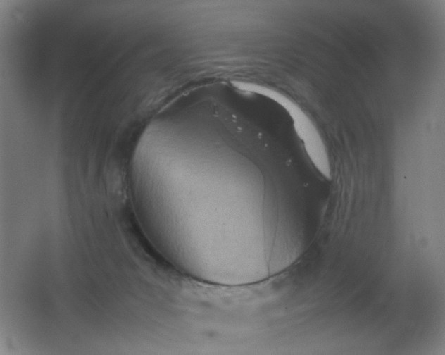 X0000062130031200512231450