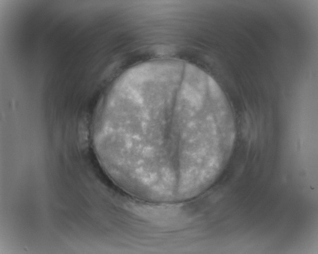 X0000062130032200512231450