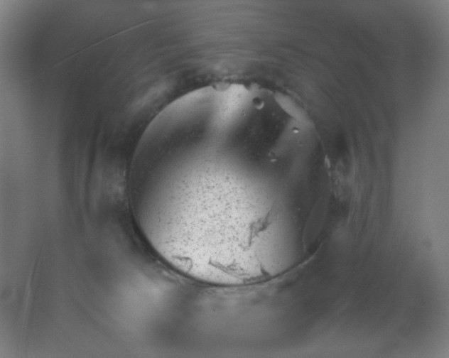 X0000062130033200512231450