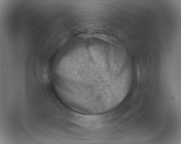 X0000062130034200512231450