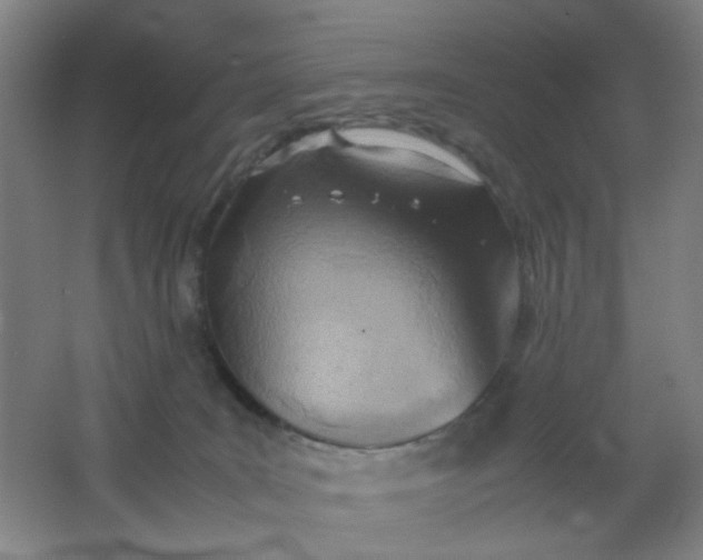 X0000062130035200512231450