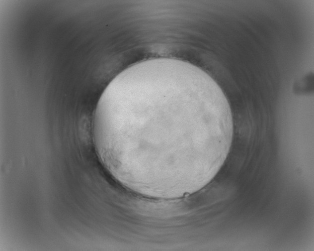 X0000062130036200512231450