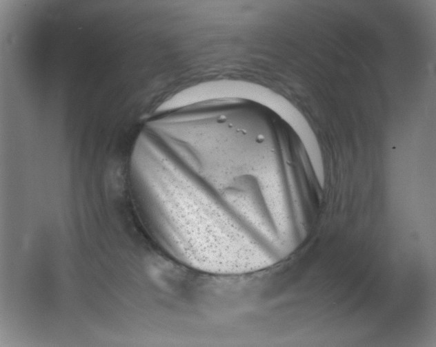 X0000062130037200512231450