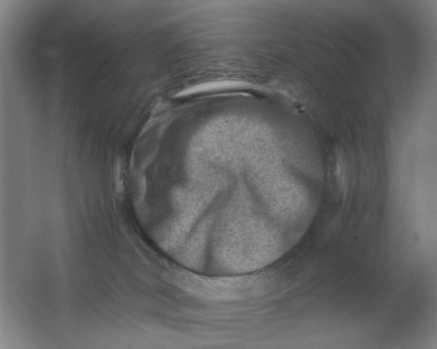 X0000062130038200512231450