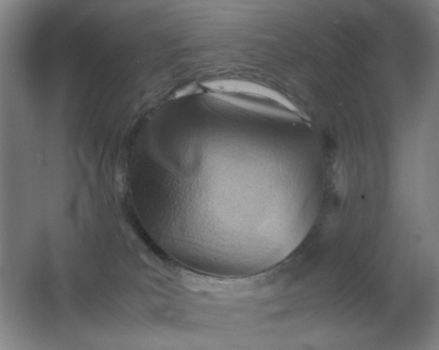 X0000062130039200512231450